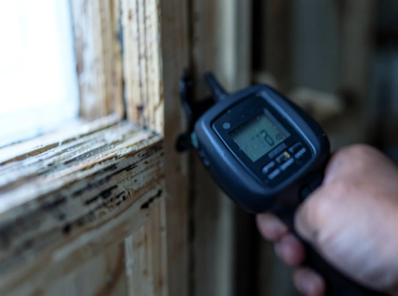 Moisture Inspection And Documentation in Ector, TX